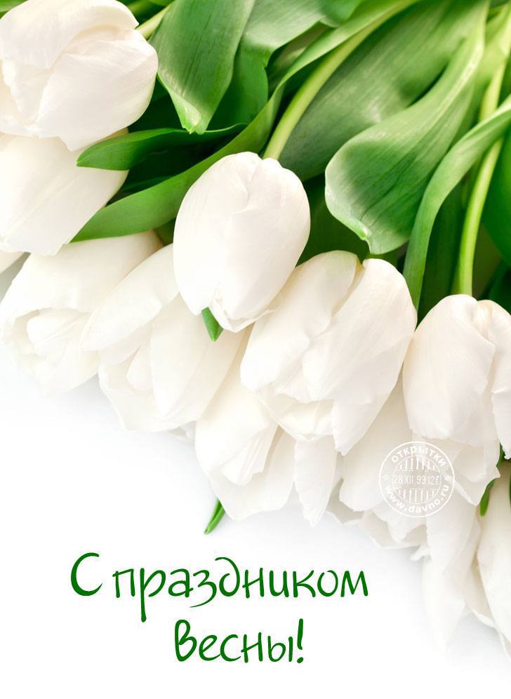 С международным женским днём!
