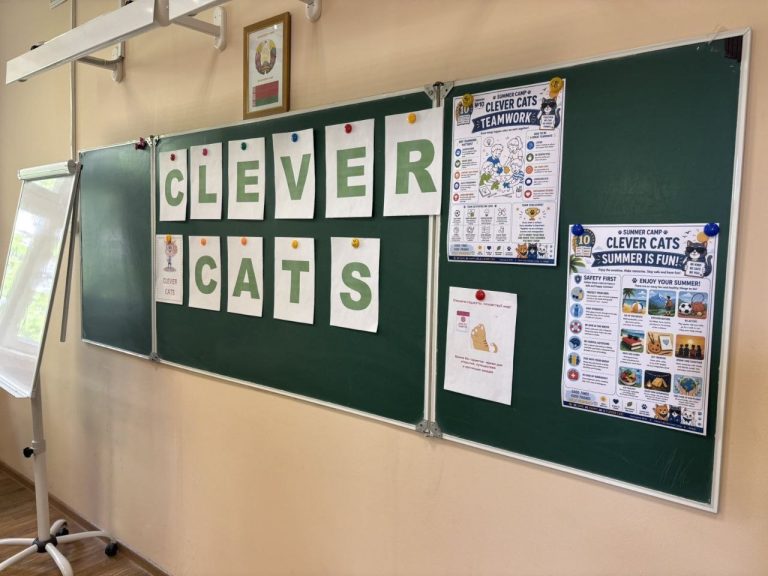 Clever Cats – 1 день
