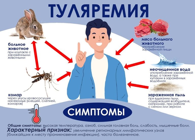 Лето – время отдыха, природы и некоторых опасностей,  в том числе  туляремии